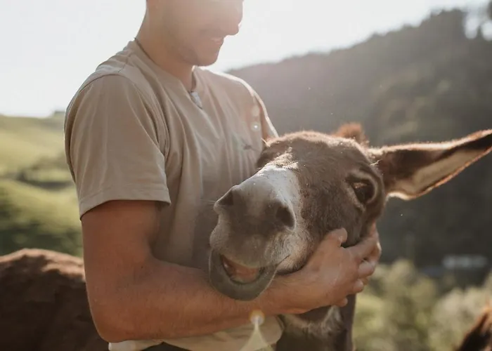 Gospodarstwo agroturystyczne Jungbauernhof *