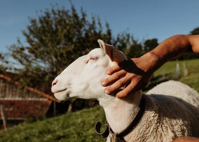 Gospodarstwo agroturystyczne Jungbauernhof *